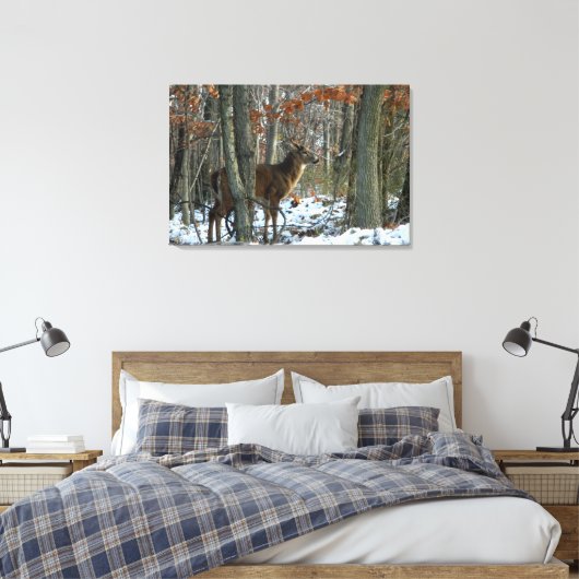 Whitetail Buck Eving Bossen Canvas Afdrukken (Insitu (Slaapkamer))