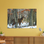 Whitetail Buck Eving Bossen Canvas Afdrukken (Insitu (Woonkamer))