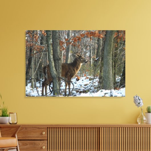 Whitetail Buck Eving Bossen Canvas Afdrukken (Insitu (Woonkamer))