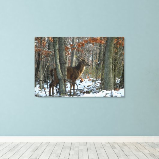 Whitetail Buck Eving Bossen Canvas Afdrukken (Insitu (Houten vloer))