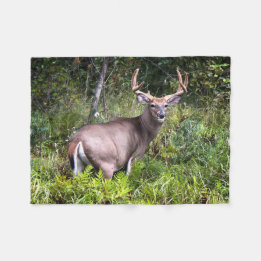 Whitetail Buck-fotografie Fleece Deken