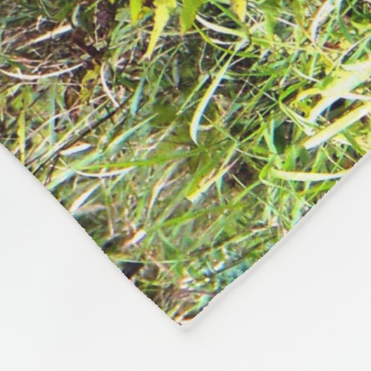 Whitetail Buck-fotografie Fleece Deken (Hoek)