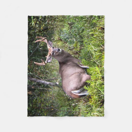 Whitetail Buck-fotografie Fleece Deken (Voorkant)