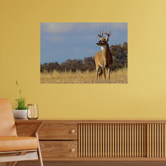 Whitetail Buck Framed Print (Woonkamer 2)