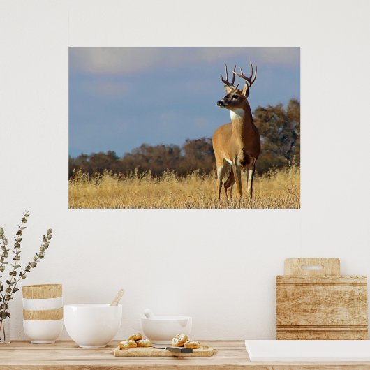 Whitetail Buck Framed Print (Keuken)