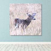 Whitetail Buck in Meadow Canvas Afdruk (Insitu (Houten vloer))
