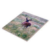 Whitetail Buck in Summer Field Ceramic Tegel Tegeltje (Zijkant)