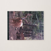 Whitetail buck in velvet legpuzzel (Horizontaal)