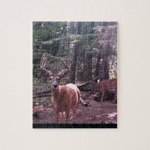Whitetail buck in velvet legpuzzel