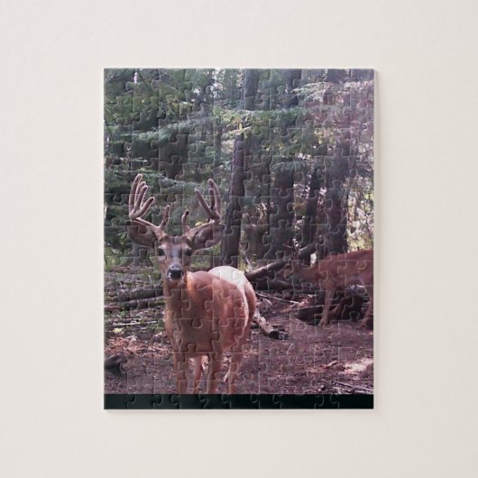 Whitetail buck in velvet legpuzzel (Verticaal)