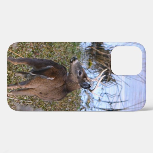 Whitetail Buck iPhone/iPad case (Achterkant (horizontaal))