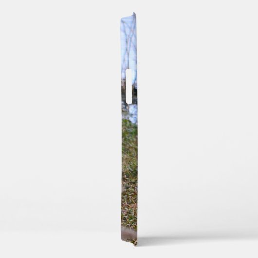 Whitetail Buck iPhone/iPad case (Achterkant / Rechts)