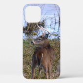 Whitetail Buck iPhone/iPad case (Achterkant)