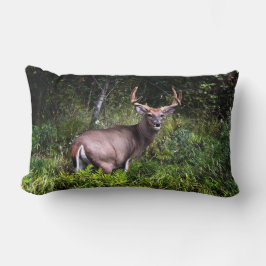 Whitetail Buck Lumbar Pillow Kussen
