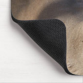 Whitetail Buck-Muismat Muismat (Hoek)