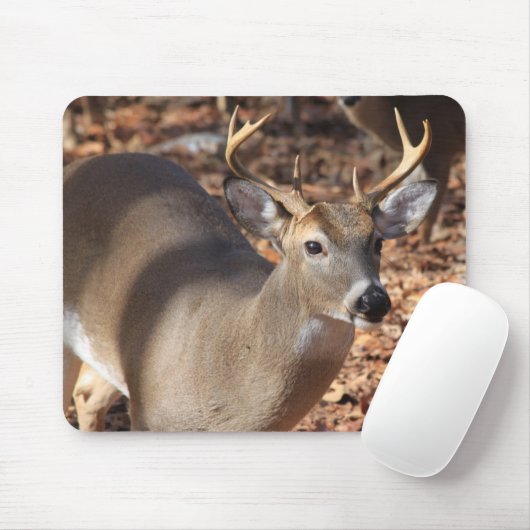 Whitetail Buck-Muismat Muismat (Met muis)