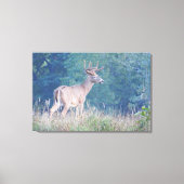 Whitetail Buck Natuur Portret Canvas Afdruk (Voorkant)