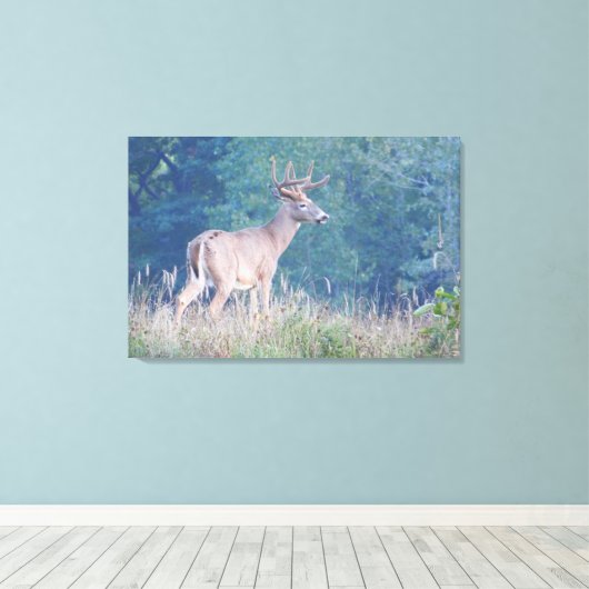 Whitetail Buck Natuur Portret Canvas Afdruk (Insitu (Houten vloer))