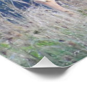 Whitetail Buck Natuur Portret Perfect Poster (Hoek)