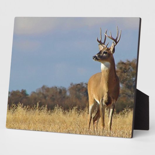 Whitetail Buck Plaque Fotoplaat (Zijkant)