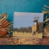 Whitetail Buck Plaque Fotoplaat (Zijkant)