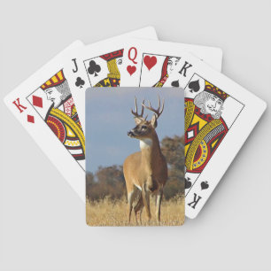 Whitetail Buck Pokerkaarten