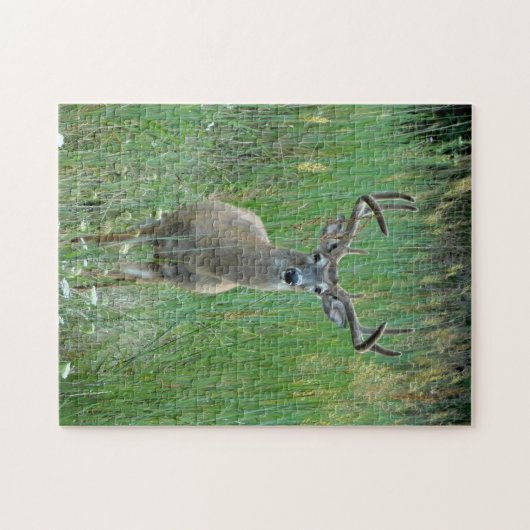 Whitetail Buck Puzzle Legpuzzel (Horizontaal)