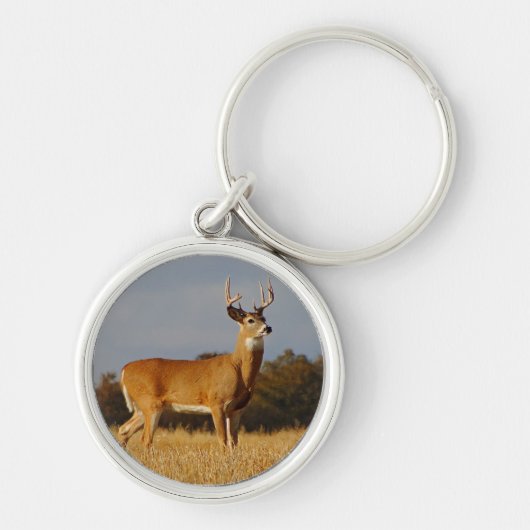 Whitetail Buck-Sleutelhanger Sleutelhanger (Voorkant)