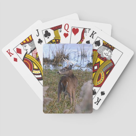 Whitetail Buck-spelkaarten Pokerkaarten (Achterkant)