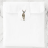 Whitetail Buck Sticker (Tas)