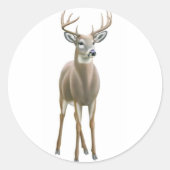 Whitetail Buck Sticker (Voorkant)
