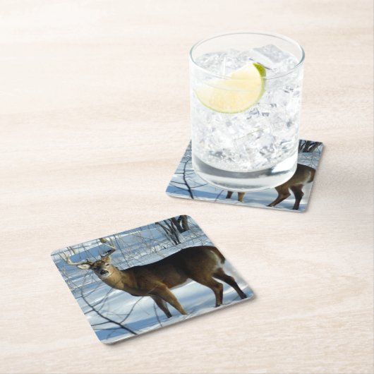 Whitetail Buck Winter Kartonnen Onderzetters (Insitu)