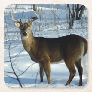 Whitetail Buck Winter Kartonnen Onderzetters
