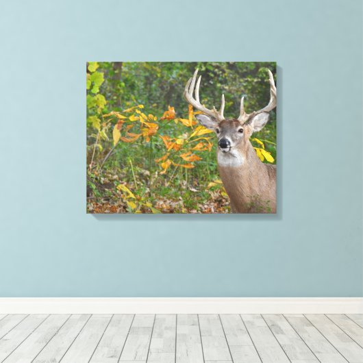 Whitetail Canvas Afdruk (Insitu (Houten vloer))