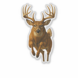 Whitetail Cut-out Sticker