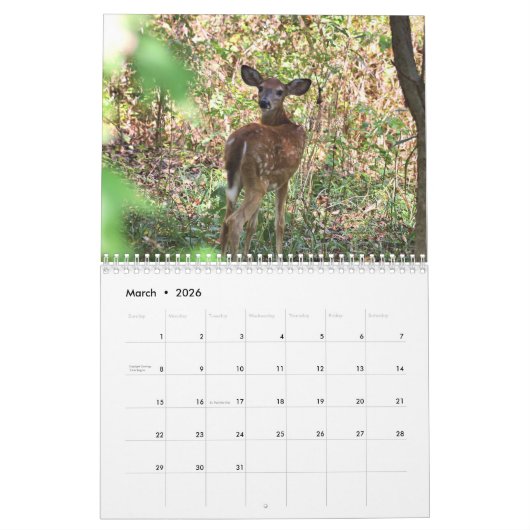 Whitetail Deer-agenda Kalender (Mar 2026)