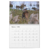 Whitetail Deer-agenda Kalender (Feb 2026)