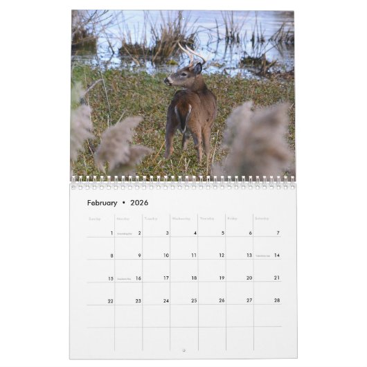 Whitetail Deer-agenda Kalender (Feb 2026)