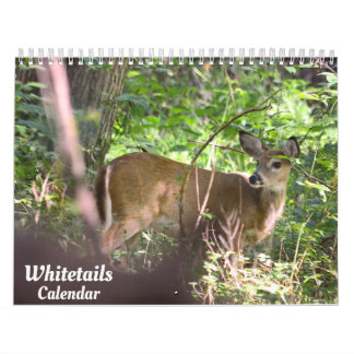 Whitetail Deer-agenda Kalender