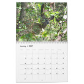 Whitetail Deer-agenda Kalender (Jan 2027)
