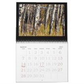 Whitetail Deer bij de Dune's. Kalender (Mar 2027)