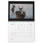 Whitetail Deer bij de Dune's. Kalender (Feb 2027)