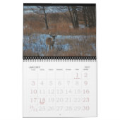 Whitetail Deer bij de Dune's. Kalender (Jan 2027)
