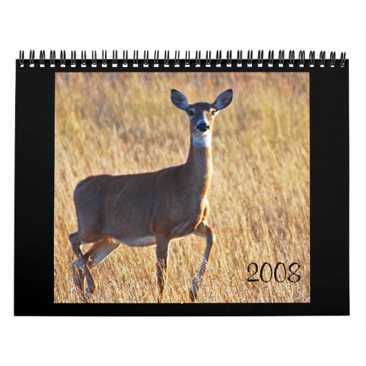 Whitetail Deer bij de Dune's. Kalender (Hoes)
