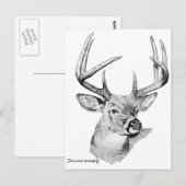 Whitetail Deer Briefkaart (Voorkant / Achterkant)