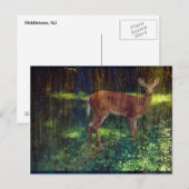 Whitetail Deer Briefkaart (Voorkant / Achterkant)