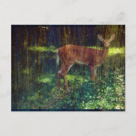 Whitetail Deer Briefkaart