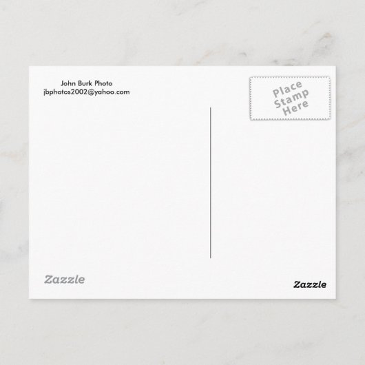 Whitetail Deer Buck Briefkaart (Achterkant)