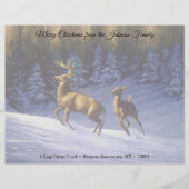 Whitetail Deer Buck & Doe in wintersneeuw Briefhoofd (Voorkant)