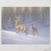 Whitetail Deer Buck & Doe in wintersneeuw Briefhoofd (Achterkant)